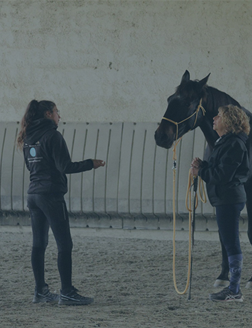 Gardiennage et soins